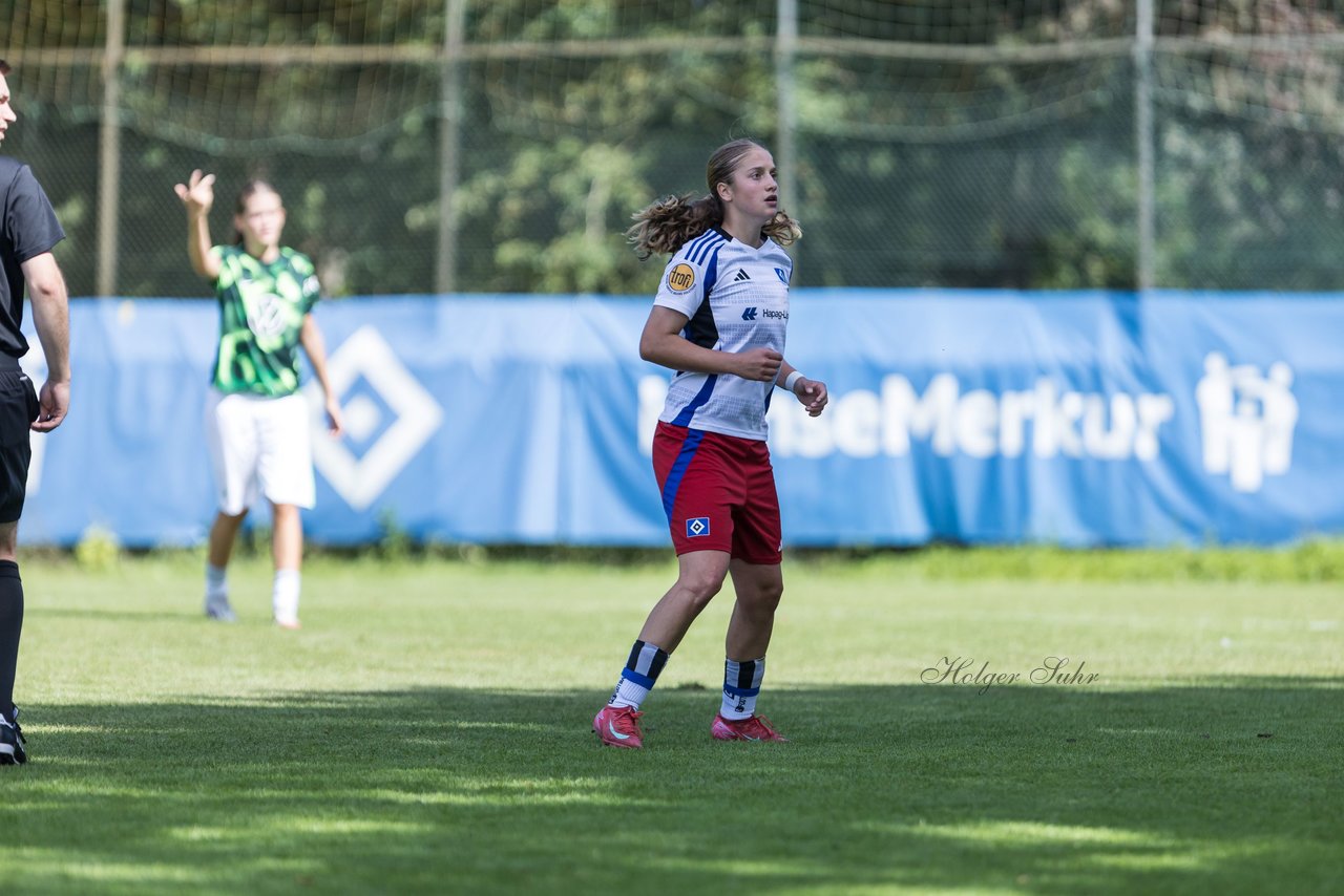 Bild 342 - wBJ Hamburger SV - VfL Wolfsburg : Ergebnis: 5:1